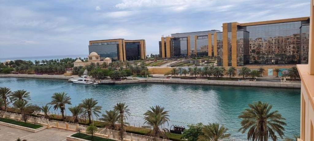 بلاتينيوم 205